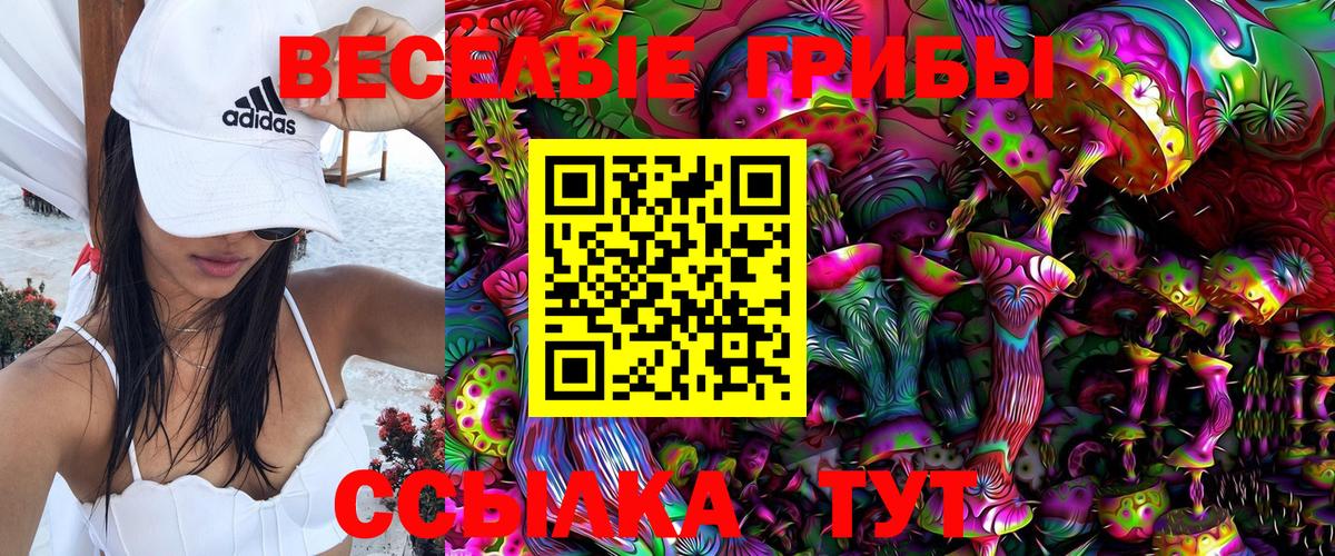 Галлюциногенные грибы Psilocybe Россия