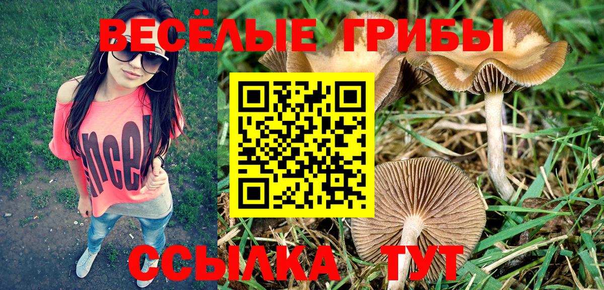 Галлюциногенные грибы мицелий  Вход с VPN  Россия 